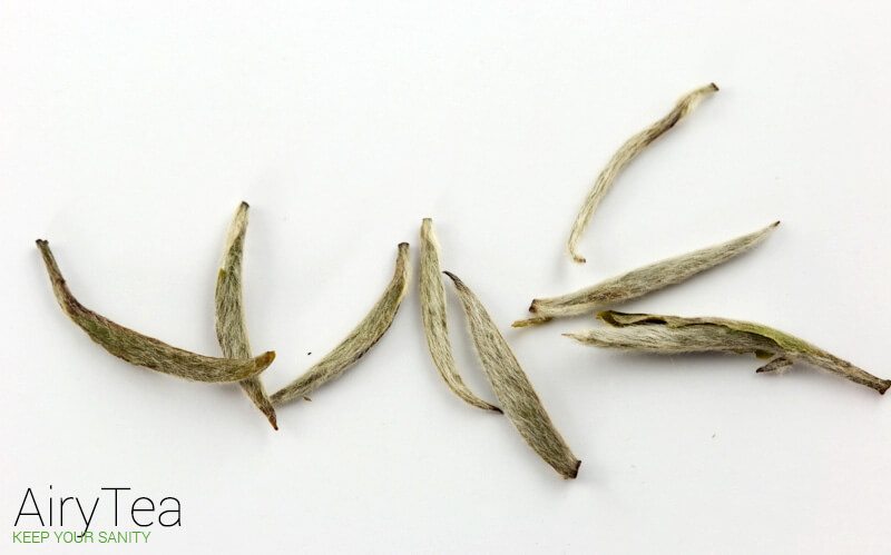 Why You Should Drink White Tea and How It Benefits You