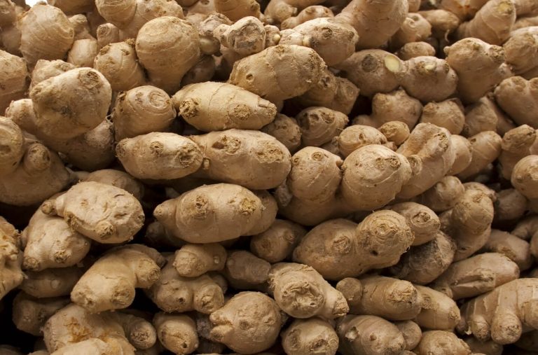 Best Natural and Safe Tea Remedies for Diarrhea