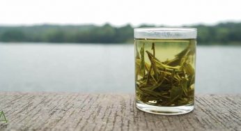 Top 15+: Green Tea Health Benefits & Side-Effects (2025)