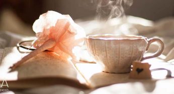 Top 10+ Positive Eucommia Tea Health Benefits & Effects (2025)