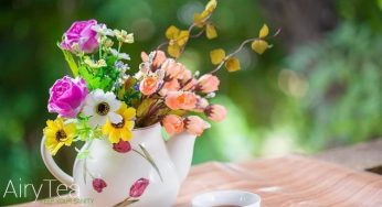 You Can Buy Organic Tea With Bitcoins / Litecoins & Dogecoins