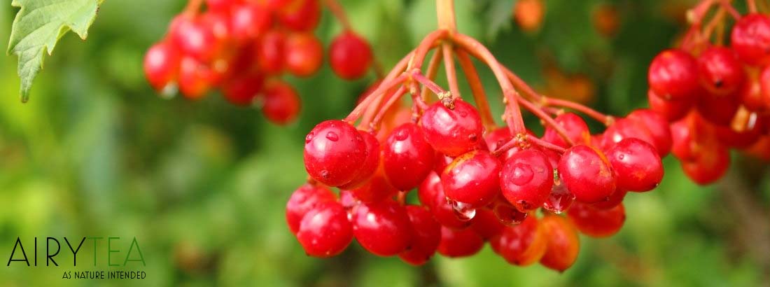 Top 10+ Hawthorn Berry Tea Health Benefits & Effects (2020)