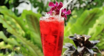 Top 10+ Roselle Juice (Hibiscus Flower Tea) Health Benefits & Effects (2025)