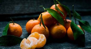 Top 10+ Tangerine Peel Tea Health Benefits & Effects) (2025)
