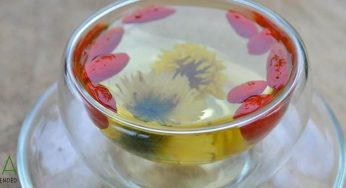 Top 10+ Wolfberry (Goji) Berry Tea Health Benefits & Effects (2025)